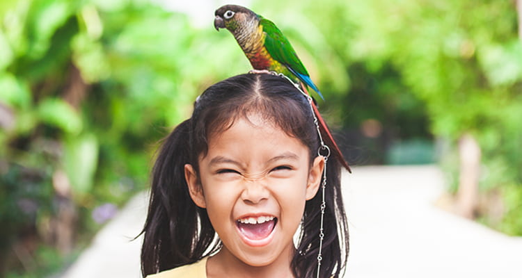 A young girl smiles while a bird sits on her head